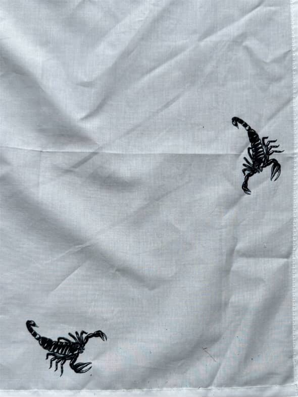 Scorpion Bandana
